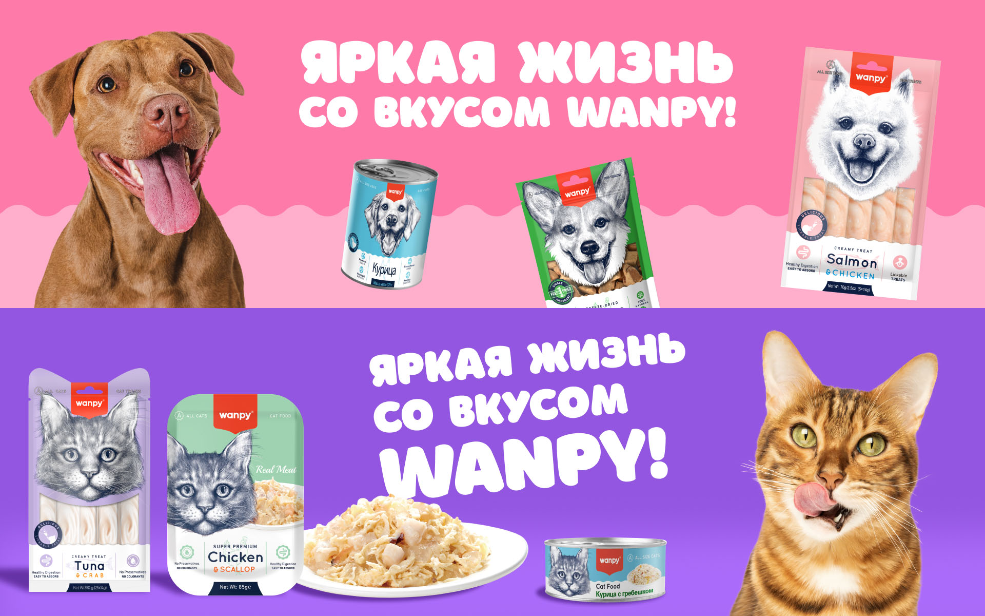 Wanpy Wanpy