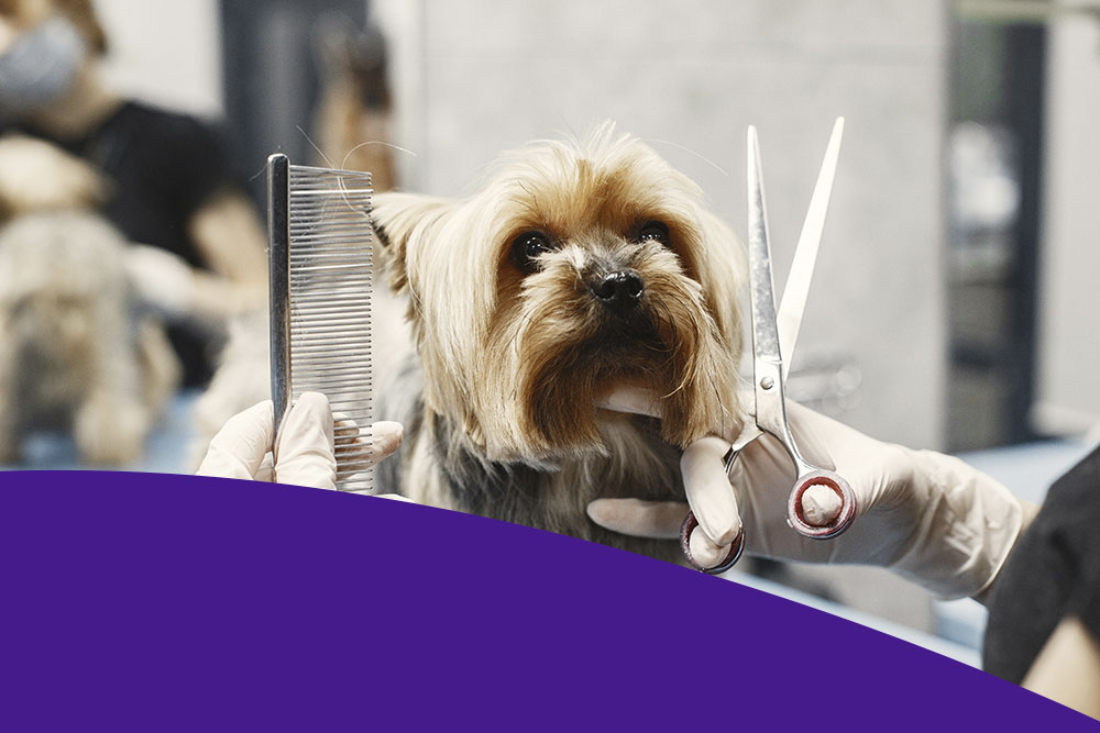 Товары для груминга